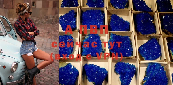 ешки Семилуки