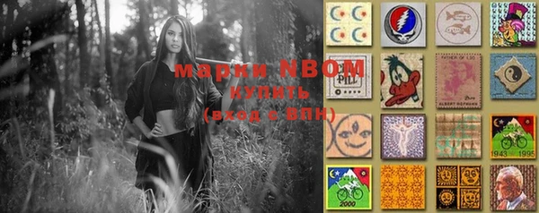 ешки Семилуки