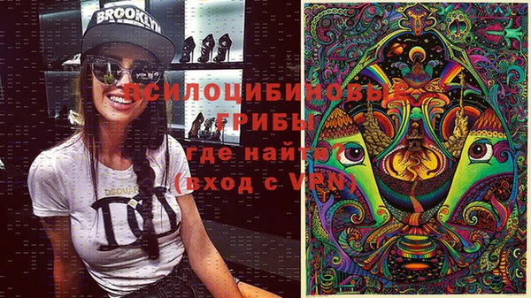 ешки Семилуки