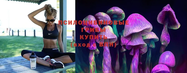 альфа пвп Семикаракорск