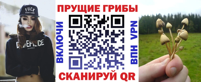 Галлюциногенные грибы Magic Shrooms  Сунжа 