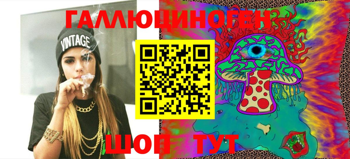Сунжа  Галлюциногенные грибы MAGIC MUSHROOMS  Вход с VPN 